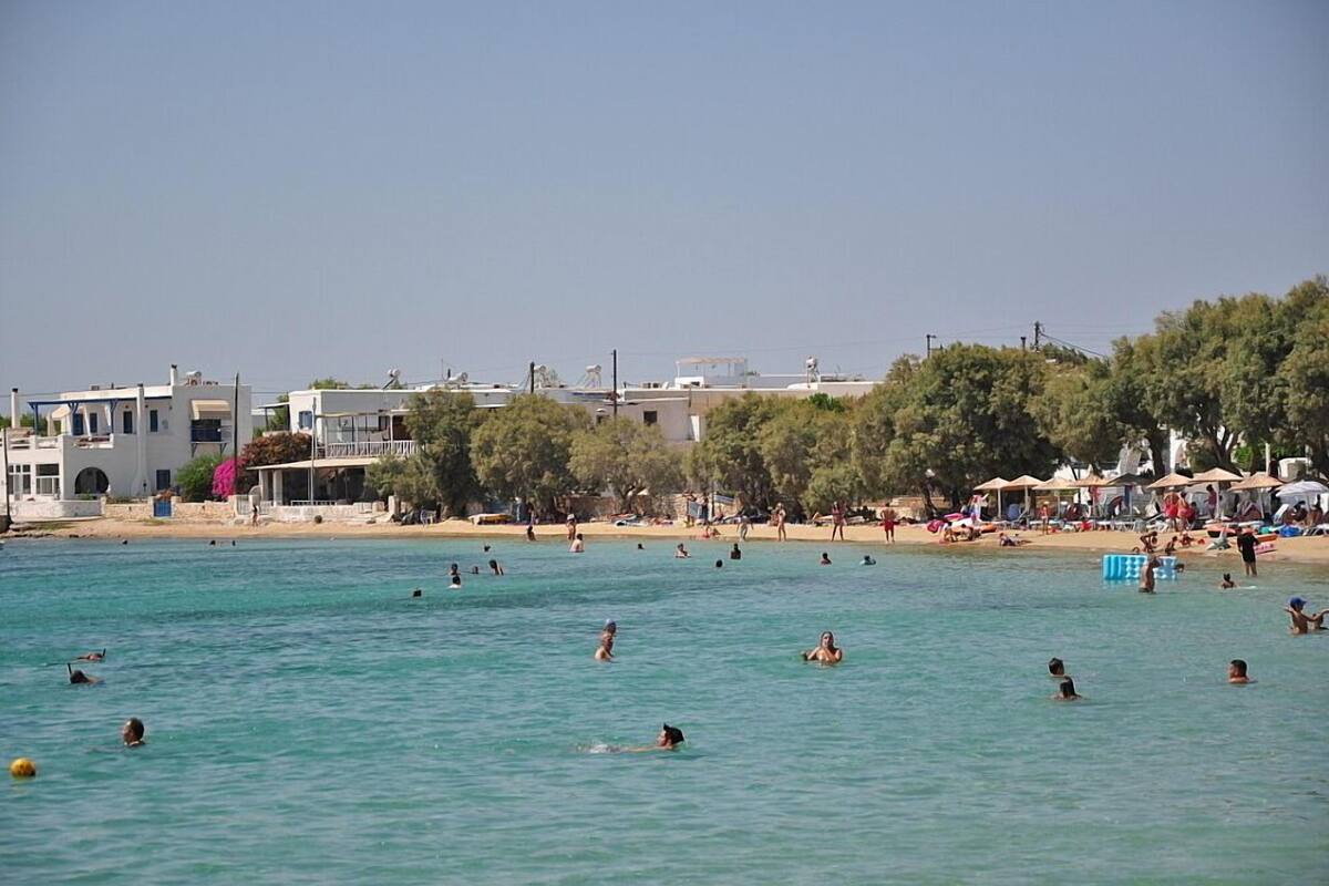 Une plage où l’on voit des gens nager et bronzer, des bâtiments en arrière-plan et des arbres le long du rivage.