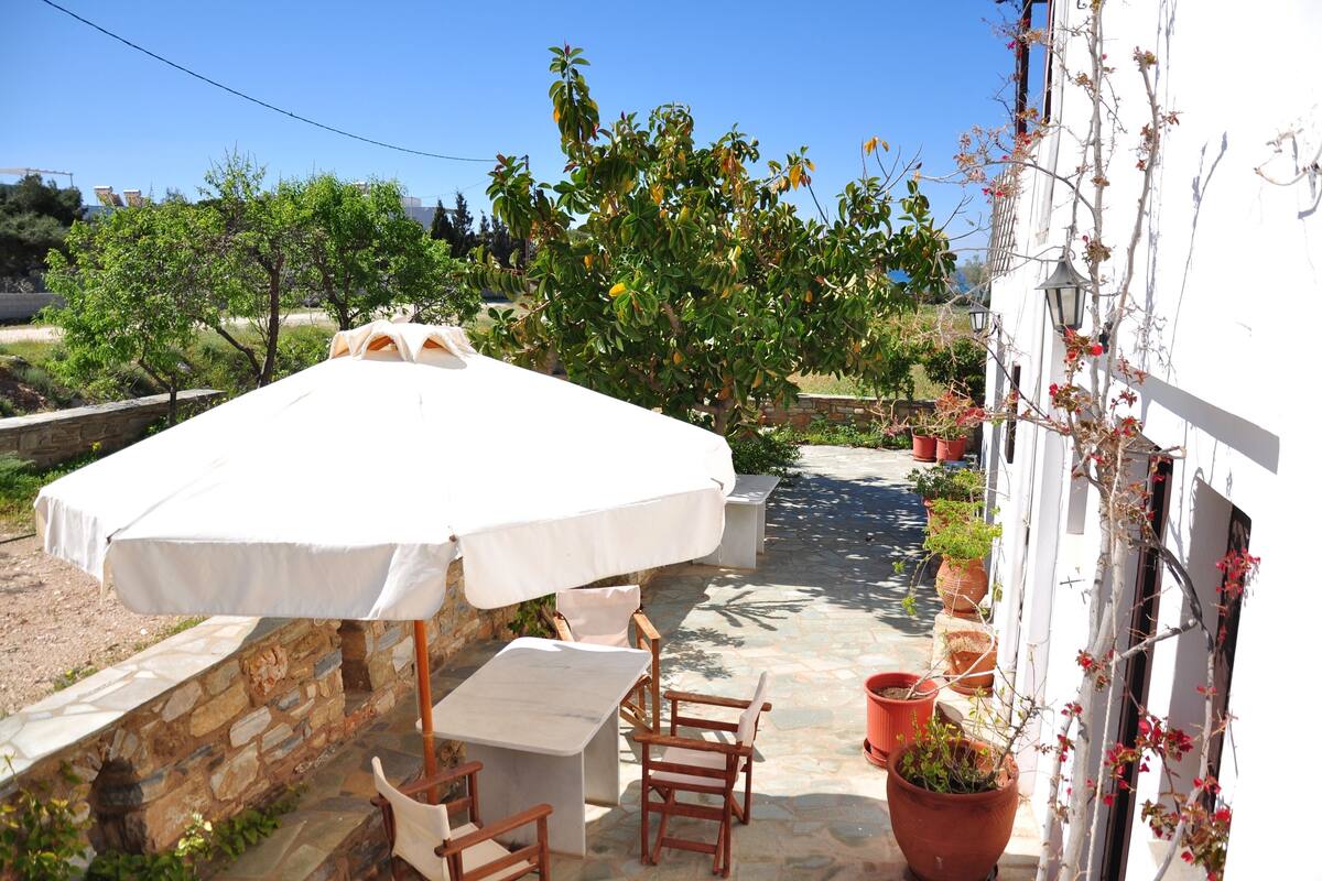 Une terrasse extérieure avec une table et des chaises, un parasol blanc et des plantes en pot.