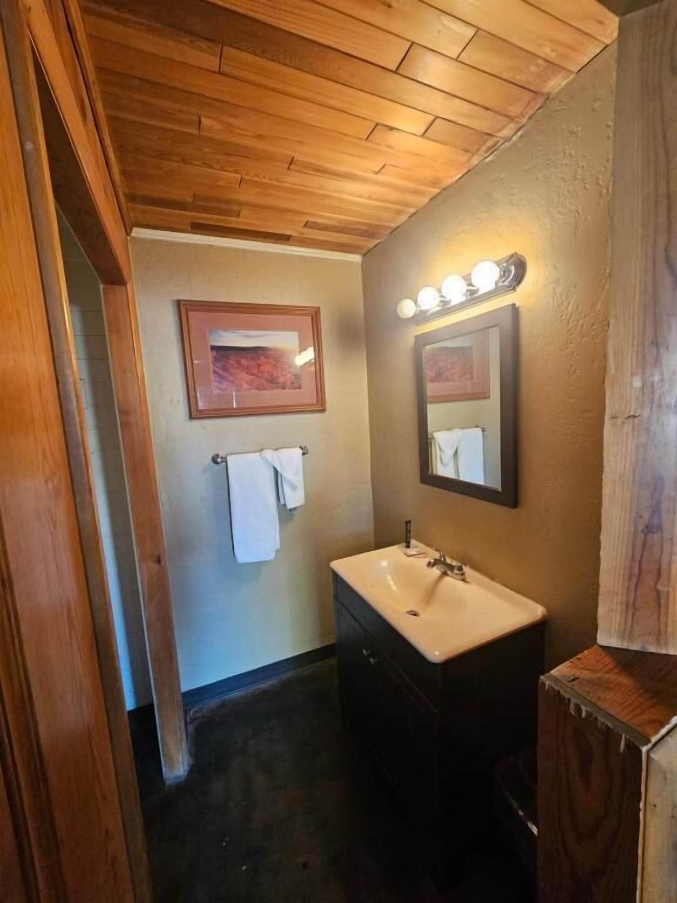 A bathroom with a wooden ceiling, a sink, a mirror, and a framed picture on the wall.