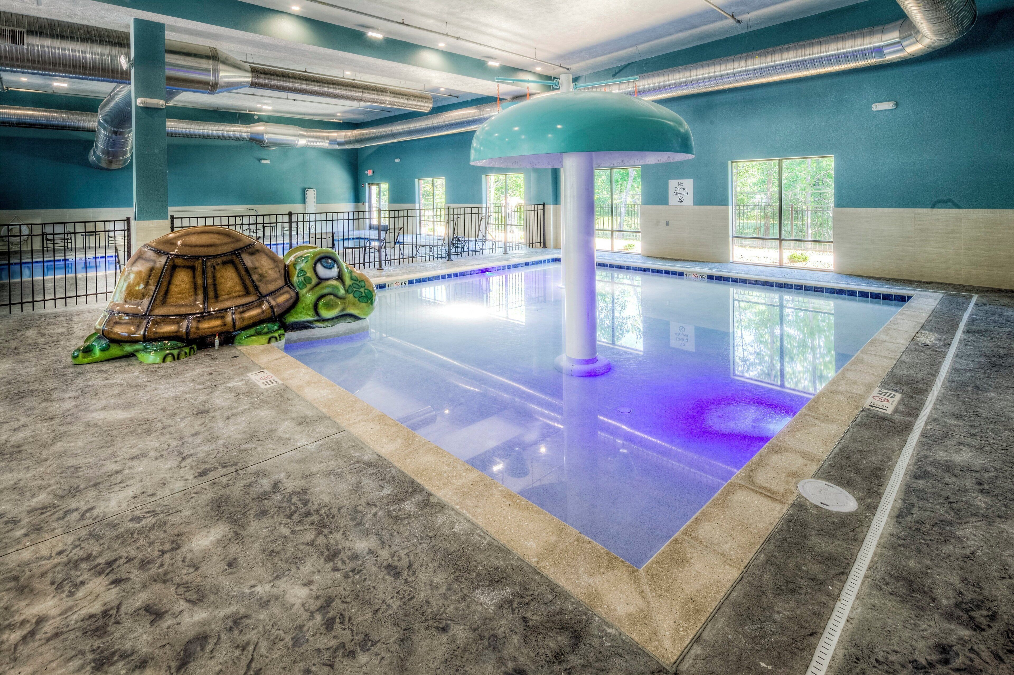 Una piscina con una decoración de tortuga, una estructura grande tipo sombrilla y vistas al exterior a través de las ventanas.