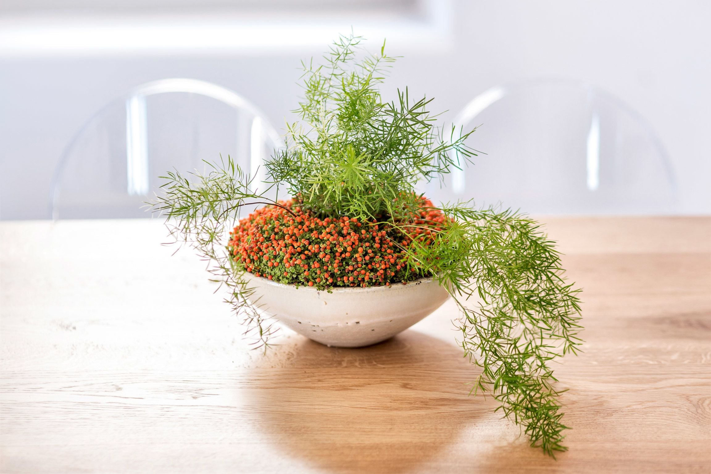 Foto - Skyfall Suites - Adults Only