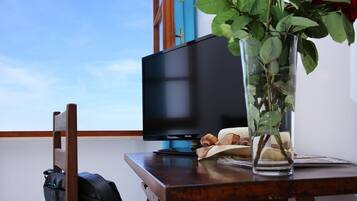 A wooden table with a television, a vase with a plant, and a book.