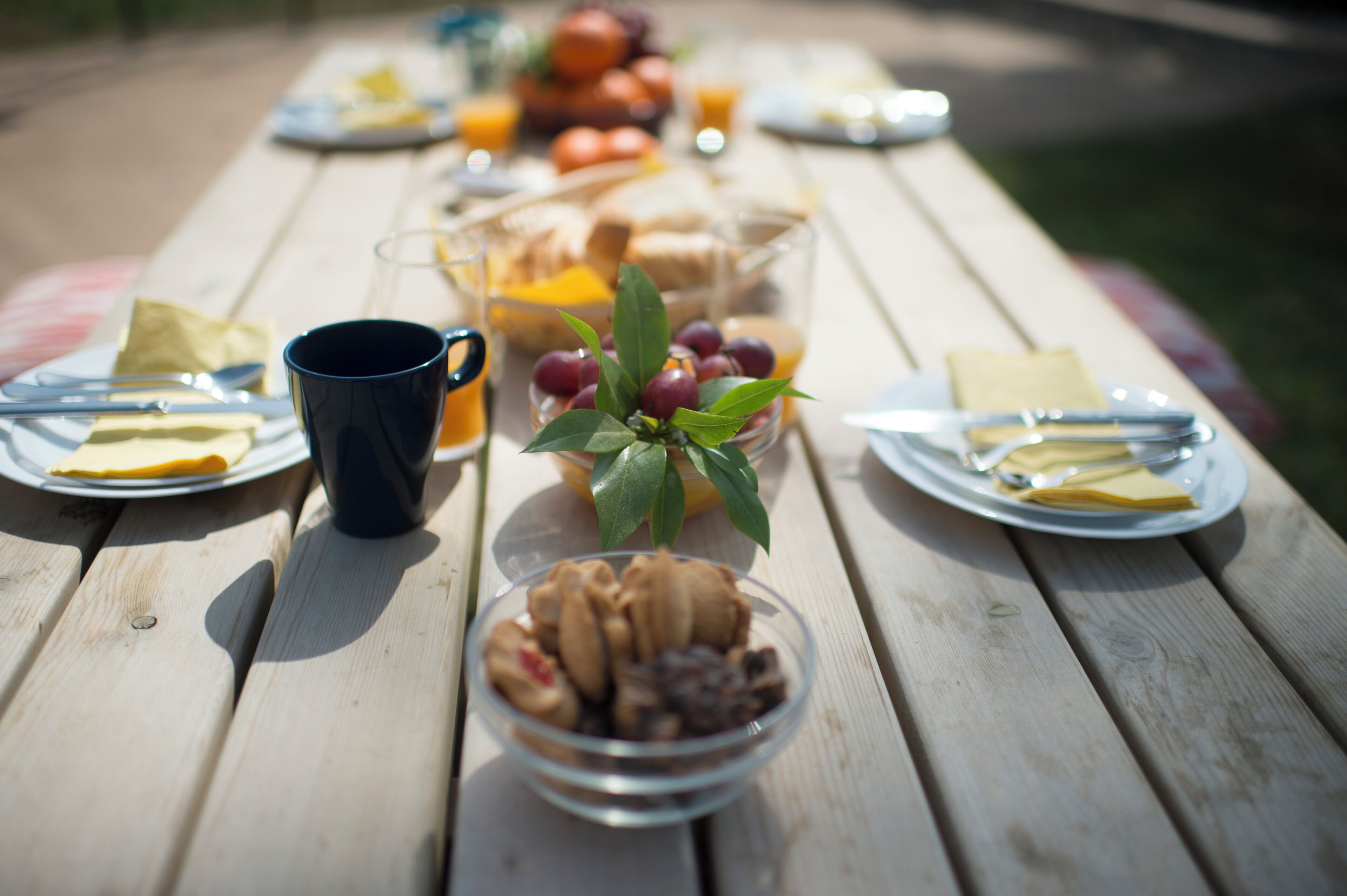 Ein Picknicktisch mit Tellern, Besteck, einer Obstschüssel, einer Tasse und einem Glas Orangensaft.