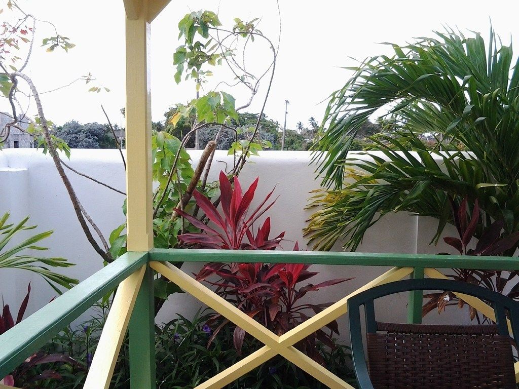 Un balcó amb barana verda i groga, envoltat de plantes diverses i una paret blanca al fons.