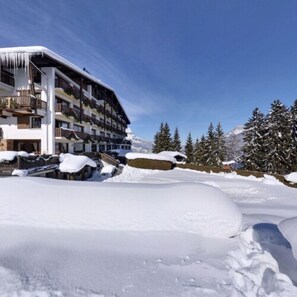 Property grounds - Aux Ducs de Savoie (Combloux)