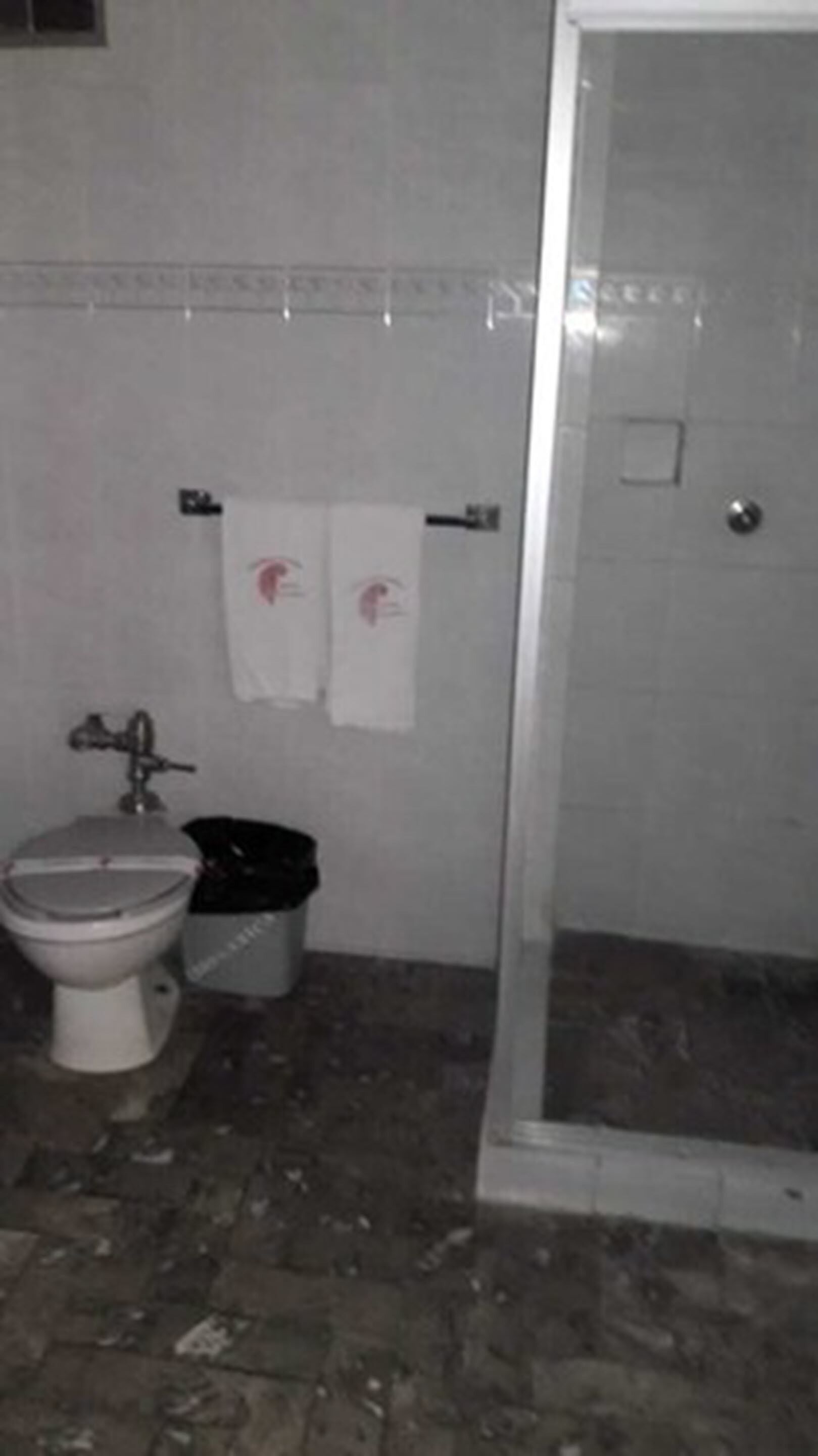 Un baño con inodoro, ducha y lavamanos.