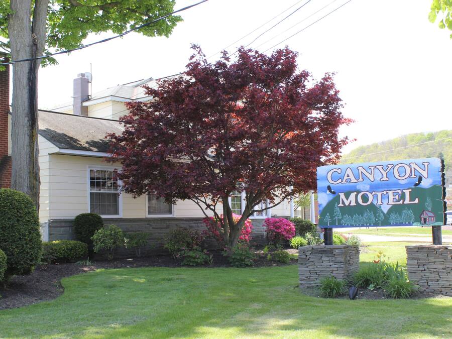 A motel sign with a tree and landscaping.