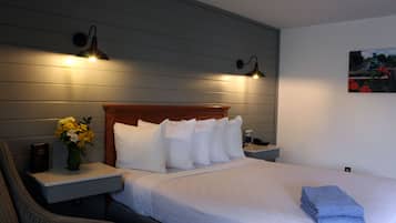 Standaard kamer, koelkast & magnetron, op benedenverdieping | Een bureau, een strijkplank/strijkijzer, extra bedden (toeslag)