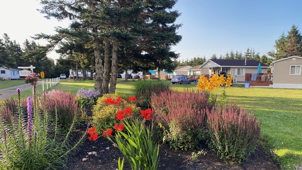 A residential area with a well-maintained garden featuring various flowering plants. There are several mobile homes in the background, and a large tree is prominently displayed in the center. - Parkside Cottages and Suites (Stanhope)