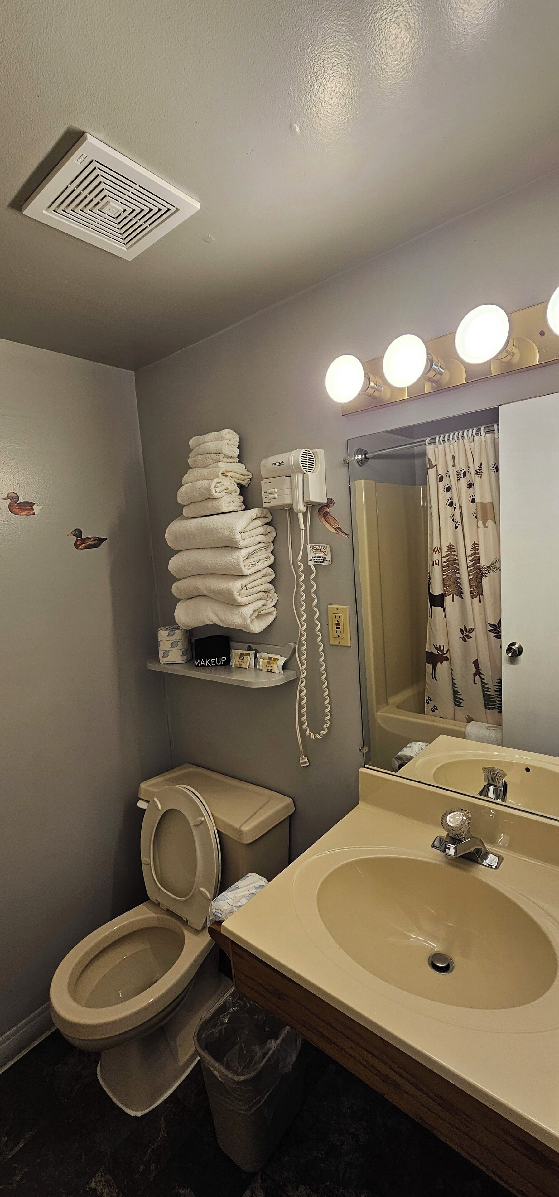 Een badkamer met toilet, wastafel en douche. Handdoeken liggen op een plank gestapeld, er is een haardroger en een spiegel met verlichting erboven.