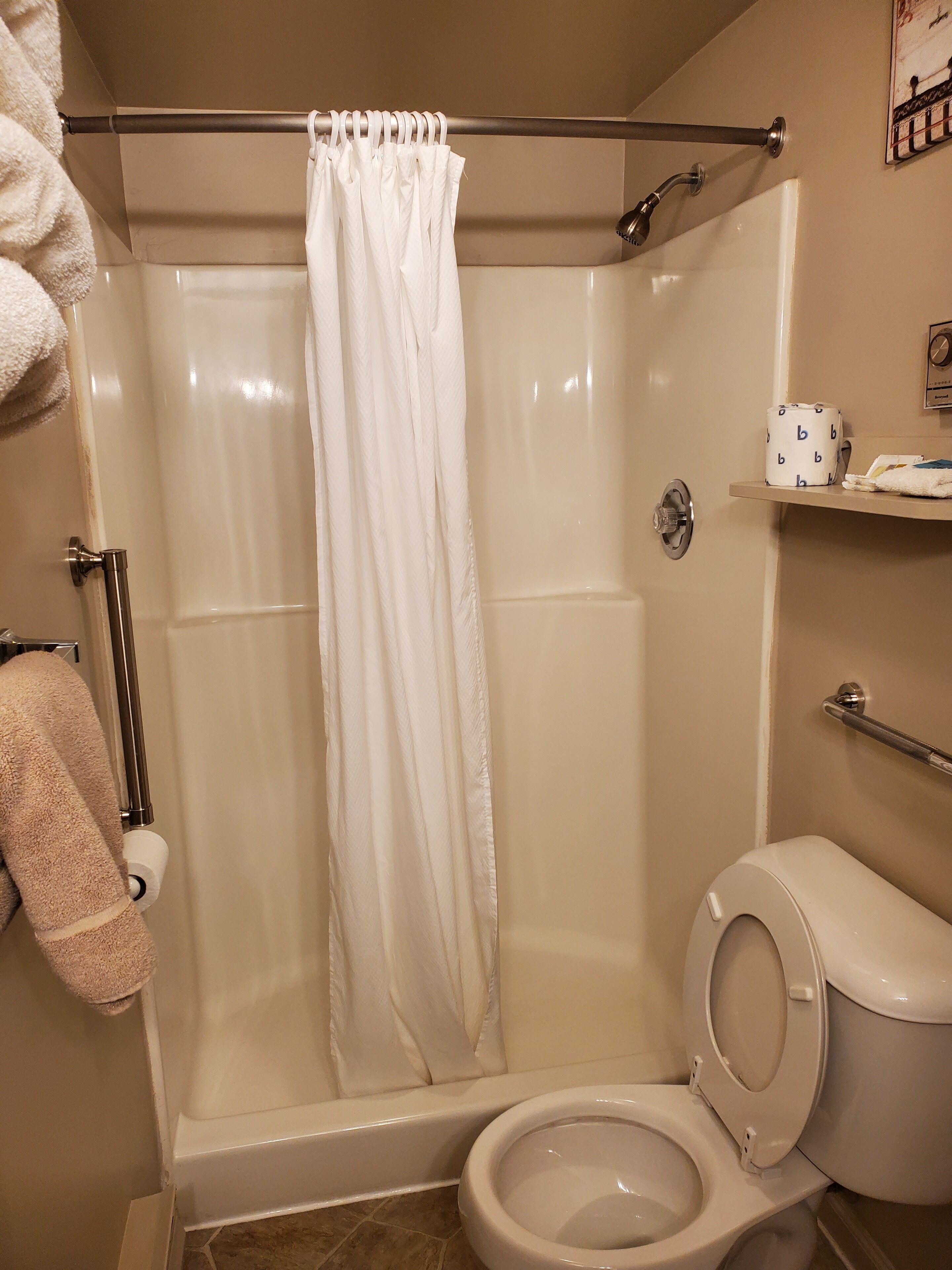 Een badkamer met douchecabine, toilet en handdoekrek.