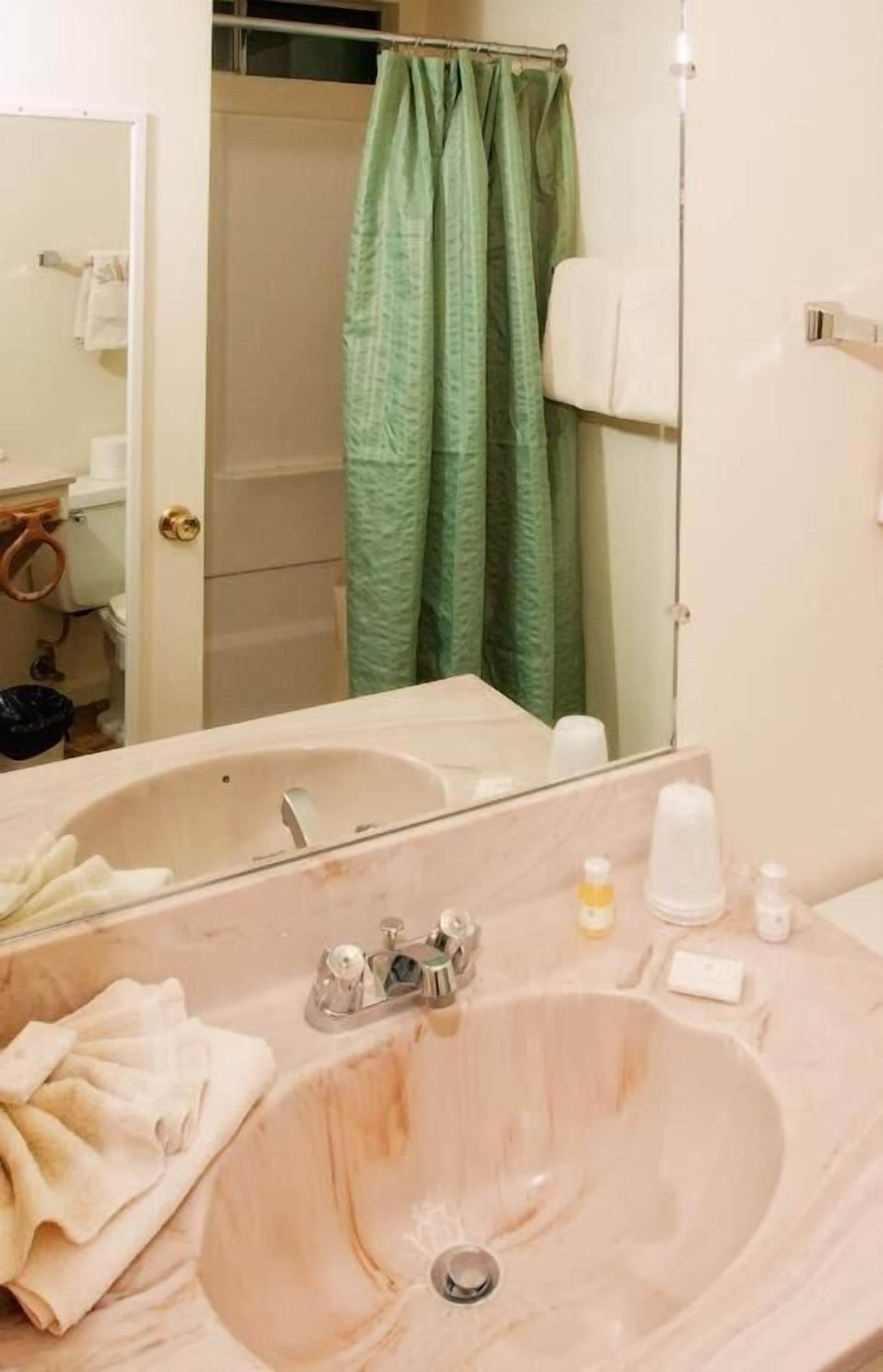 A bathroom with a sink, mirror, and green shower curtain.