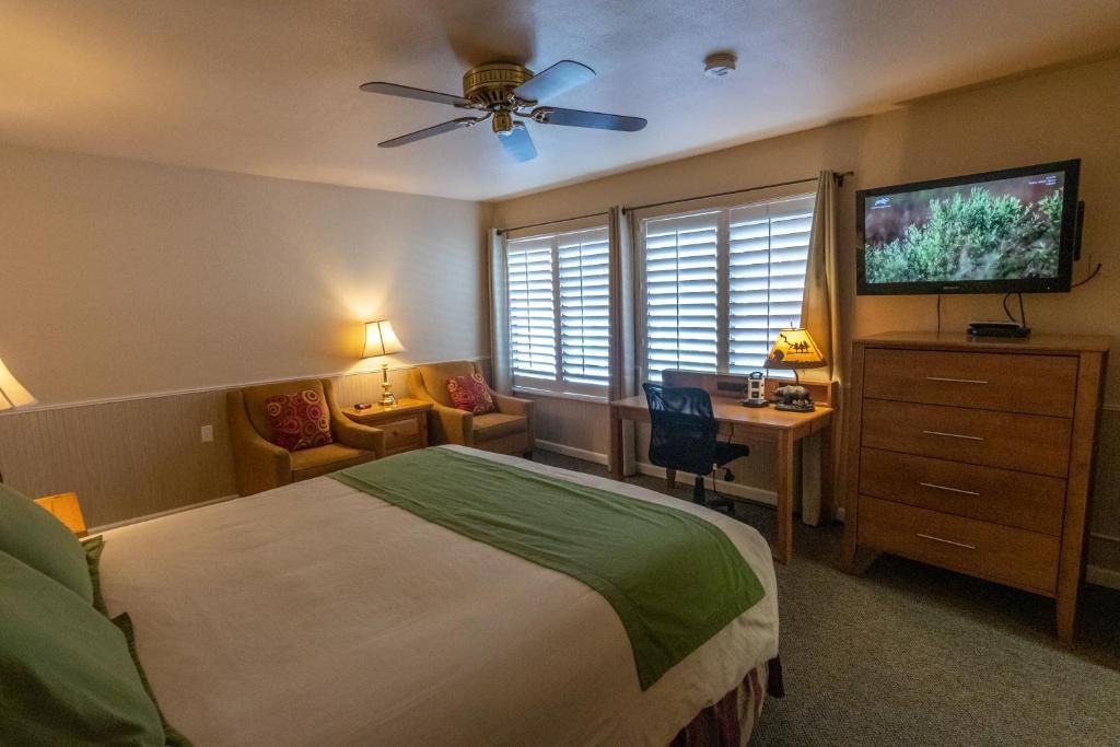 A hotel room with a bed, desk, chair, television, and a ceiling fan.