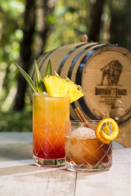 Universal's Loews Sapphire Falls Resort - Image 34