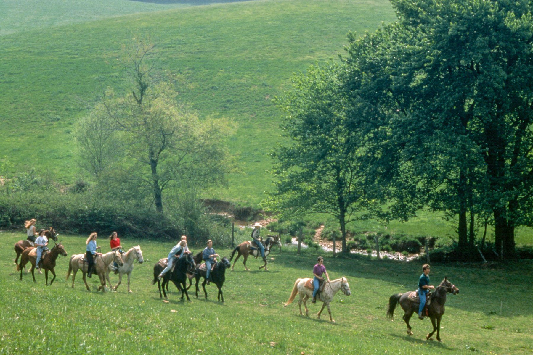 Un grupo de personas montando a caballo en un campo cubierto de hierba, con árboles al fondo.