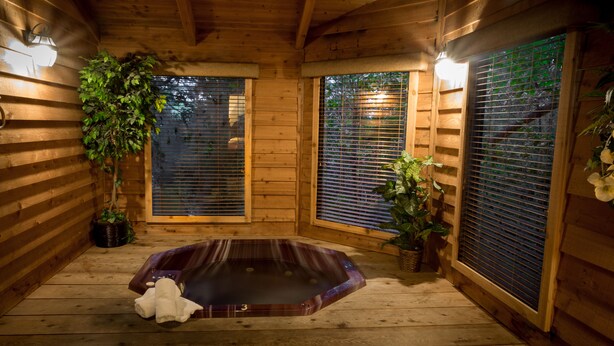 Et interiør af en træhytte med jacuzzi, trævægge og potteplanter.