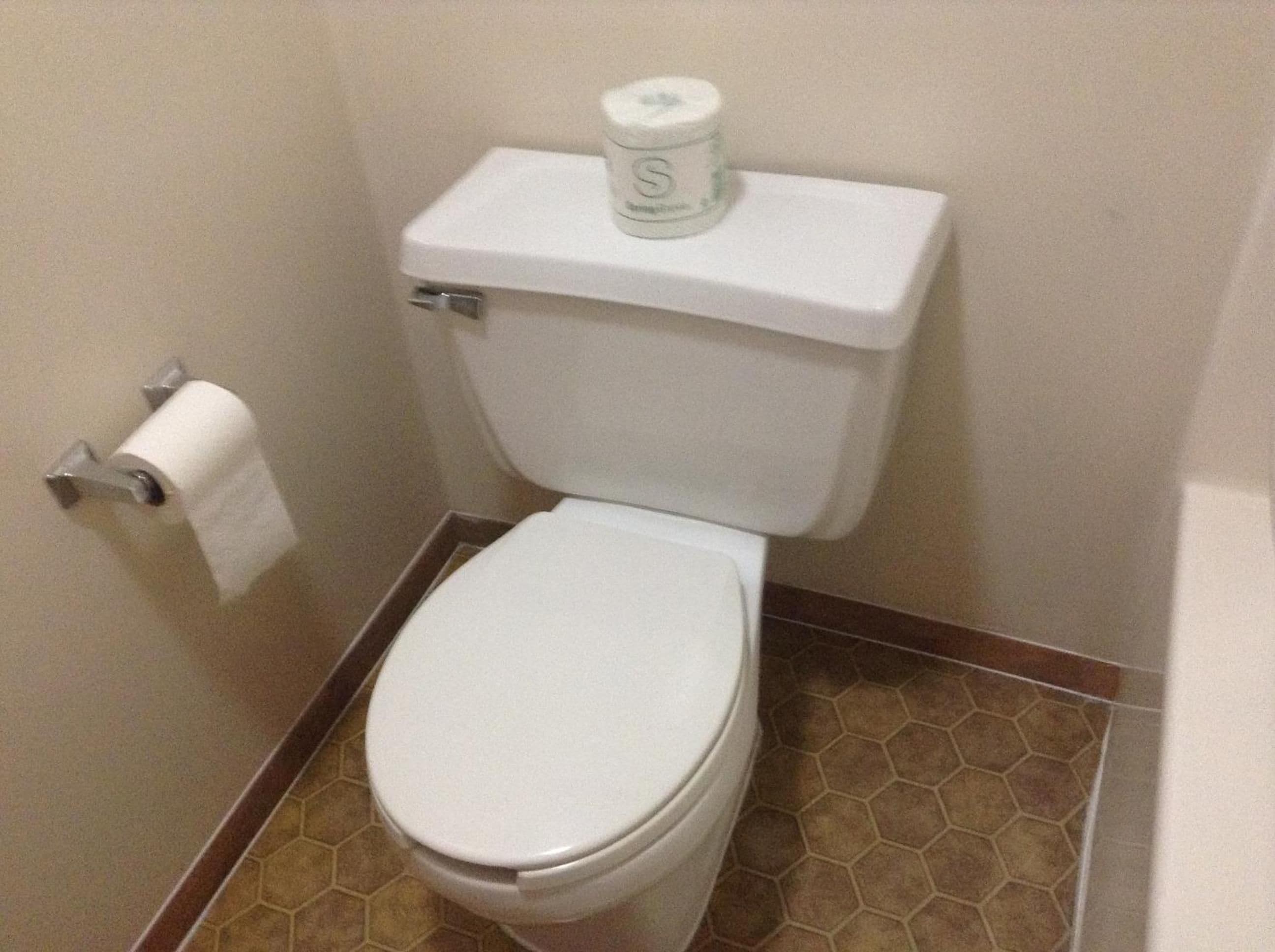 Inodoro blanco estándar con un dispensador de papel higiénico a la izquierda y un rollo de papel higiénico sobre el tanque.