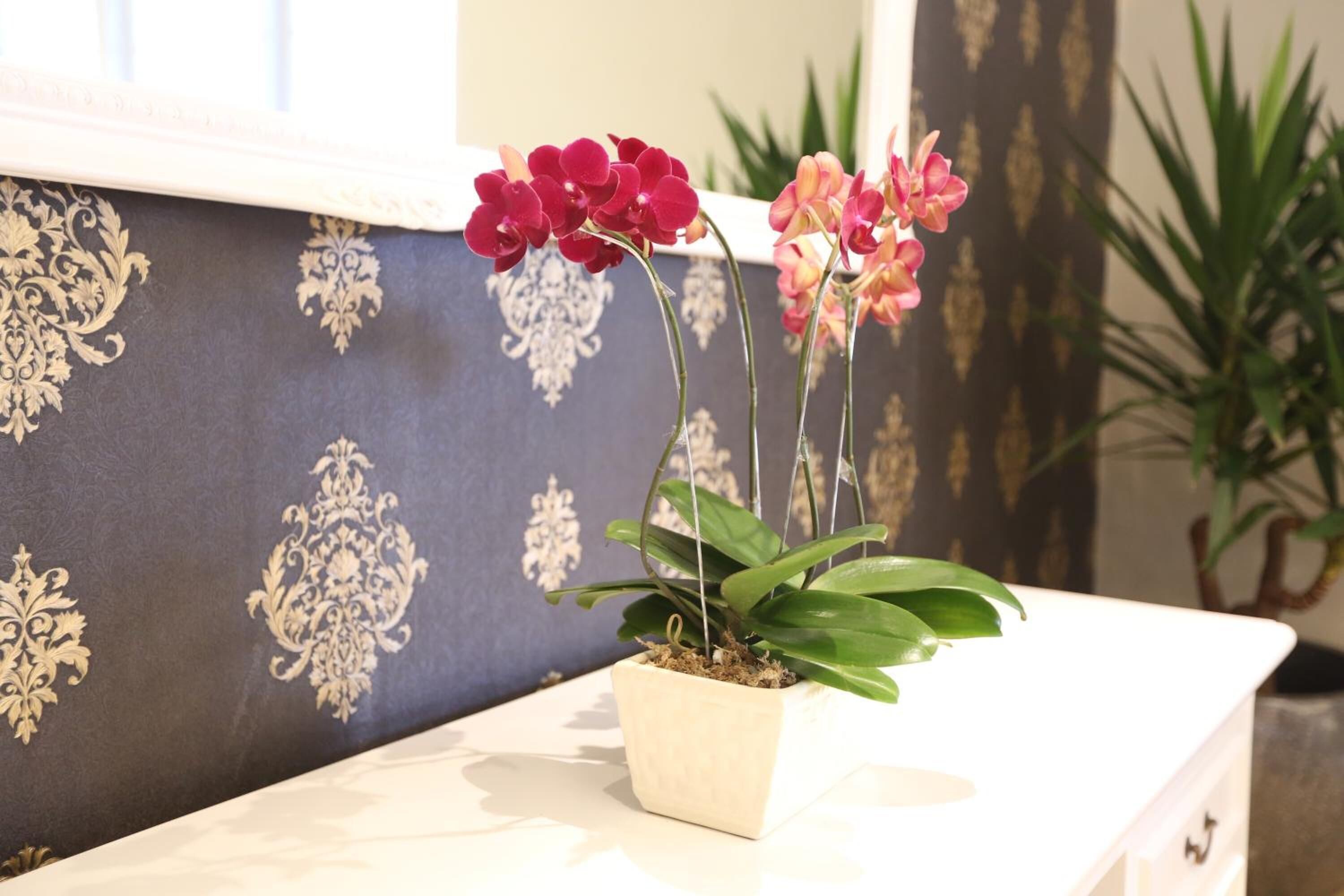 Foto - F Hotel Jakarta