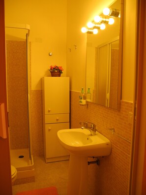 Classic Double Room | Bilik Mandi | Pancuran mandi, hulu semburan mandi hujan 