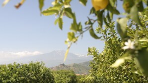 إطلالة على الجبل