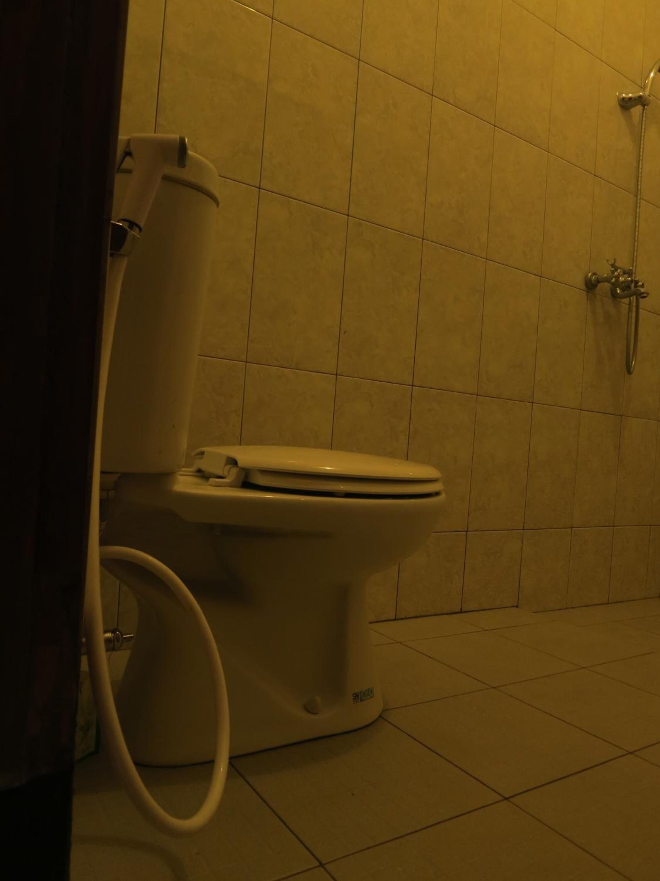 Ein Badezimmer mit Toilette, Dusche und gefliesten Wänden.