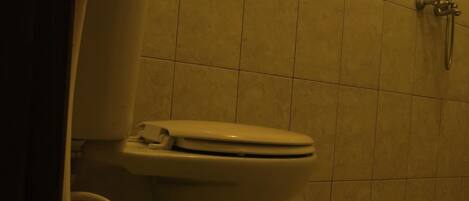 Ein Badezimmer mit Toilette, Dusche und gefliesten Wänden.