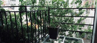 Fuqi Hostel - Heping