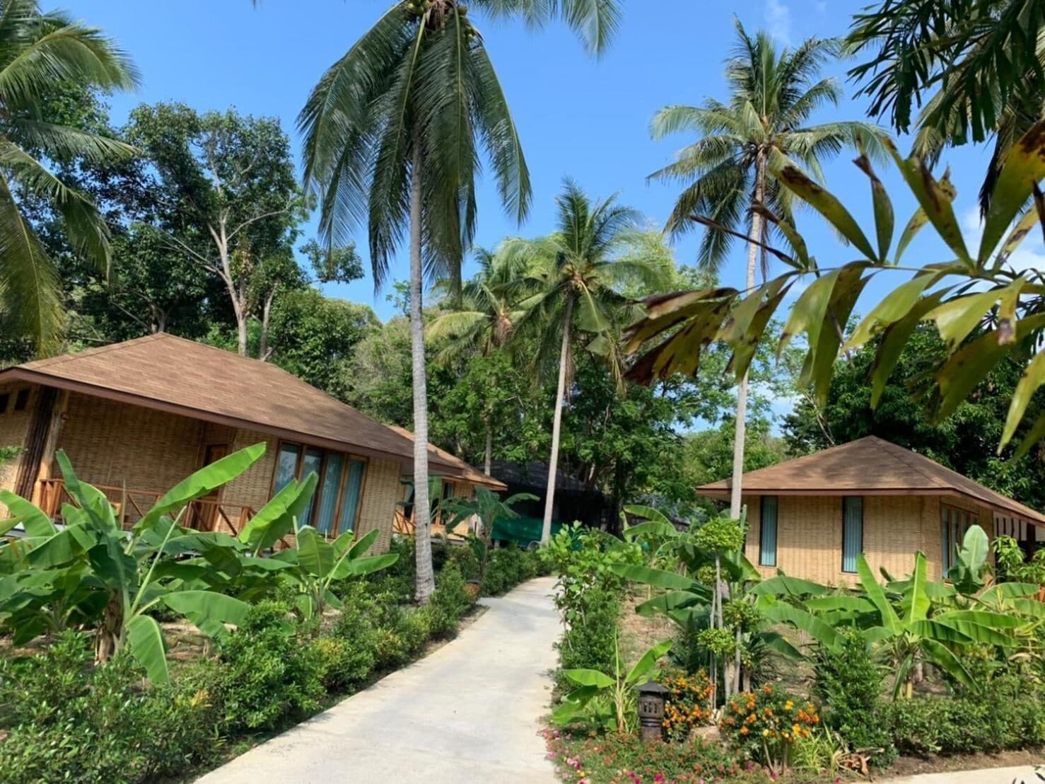 A pathway leading to two bungalow-style buildings surrounded by lush tropical vegetation and palm trees.