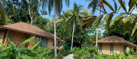A pathway leading to two bungalow-style buildings surrounded by lush tropical vegetation and palm trees.