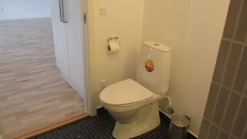 Regadera, secadora de cabello, toallas