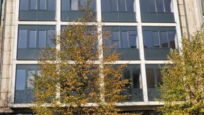 A modern building with a symmetrical facade, large windows, and a tree in front. - Escale Hotel (Brussels)