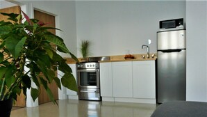 Una cocina moderna con armarios blancos, electrodomésticos de acero inoxidable y una planta en maceta.