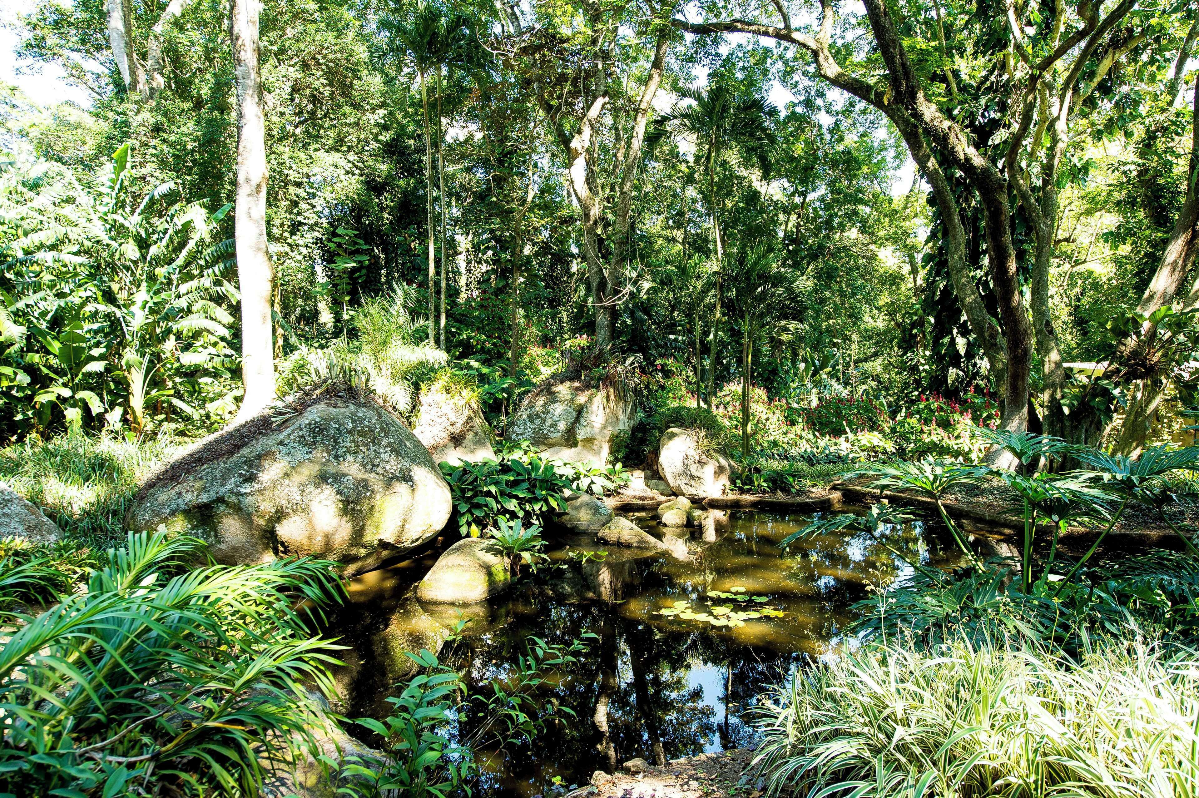 En naturlig udendørs scene med en lille sø, omgivet af sten og frodig vegetation.