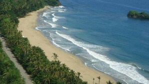 A coastal landscape with a sandy beach, dense green vegetation, and a clear blue ocean. - La Costa de Papito (Cahuita)