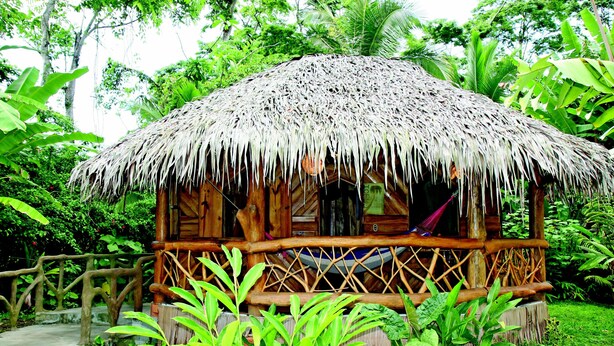 A thatched-roof hut with a wooden frame, surrounded by lush greenery. - La Costa de Papito (Cahuita)