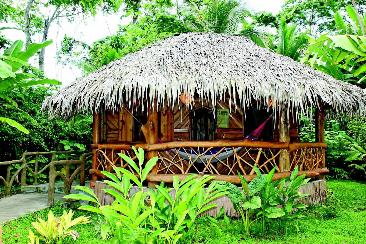 Una cabaña con techo de paja y estructura de madera, rodeada de abundante vegetación.
