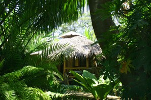 Terrace/patio - La Costa de Papito (Cahuita)
