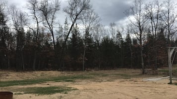 Eine natürliche Landschaft mit einem unbefestigten Pfad, spärlicher Vegetation und kahl stehenden Bäumen unter einem bewölkten Himmel.