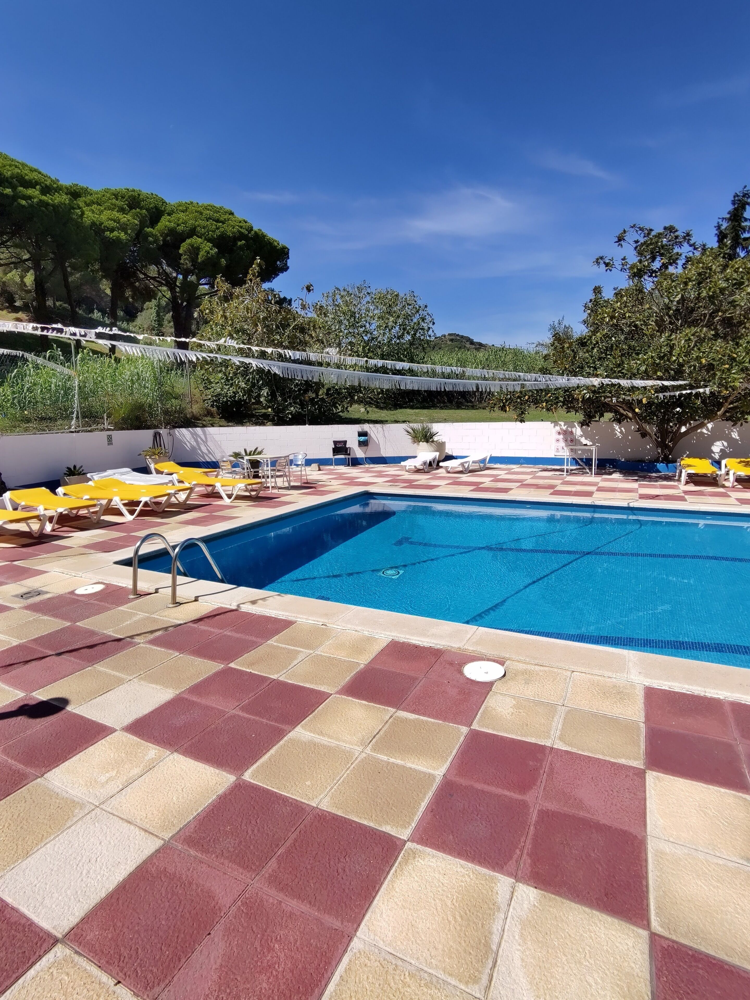 Outdoor pool, pool loungers