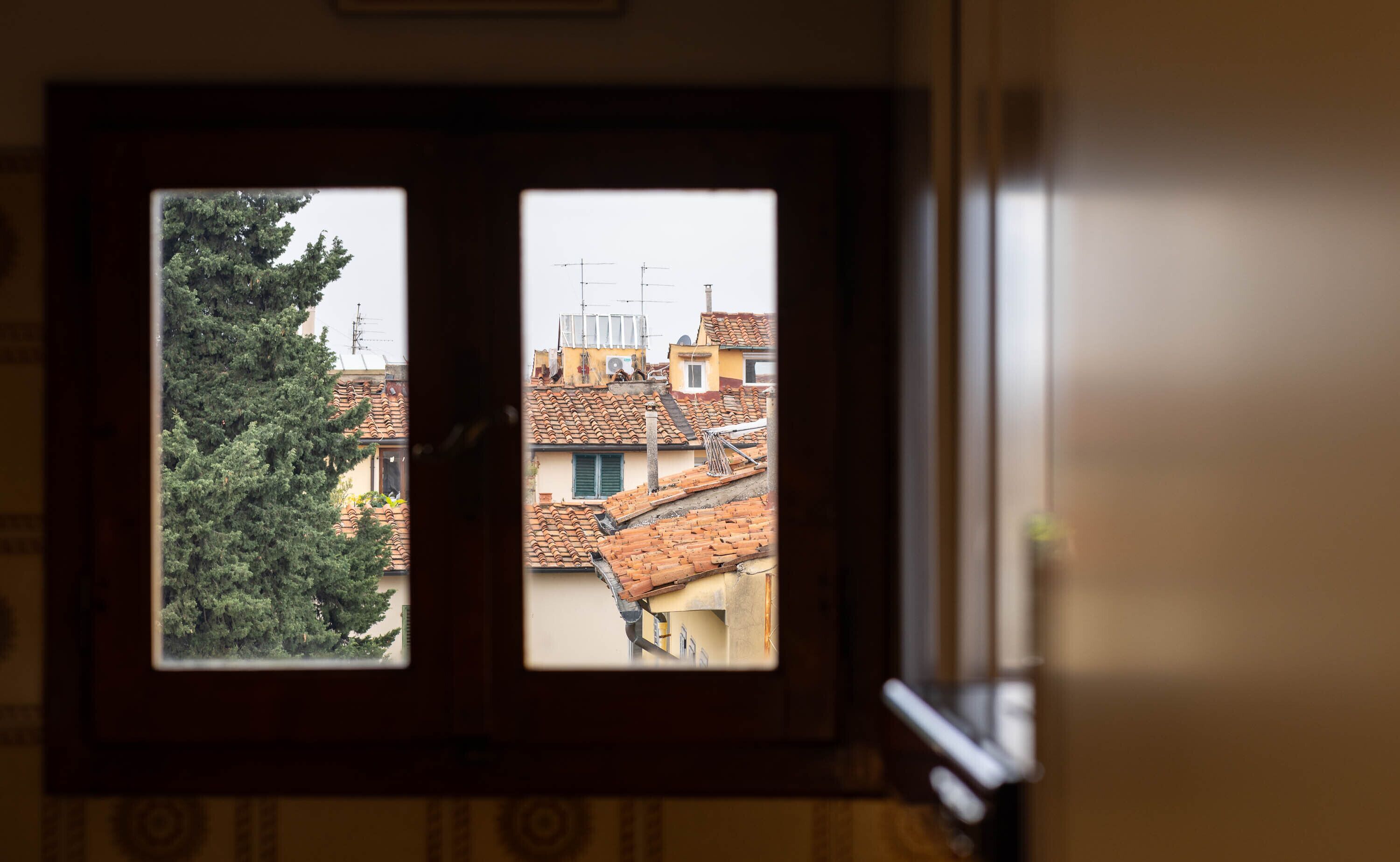 Foto - Novella House