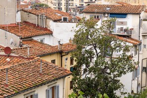 A densely packed urban area with terracotta-tiled rooftops, some buildings with balconies, and a prominent tree in the foreground. - Novella House (Florence)