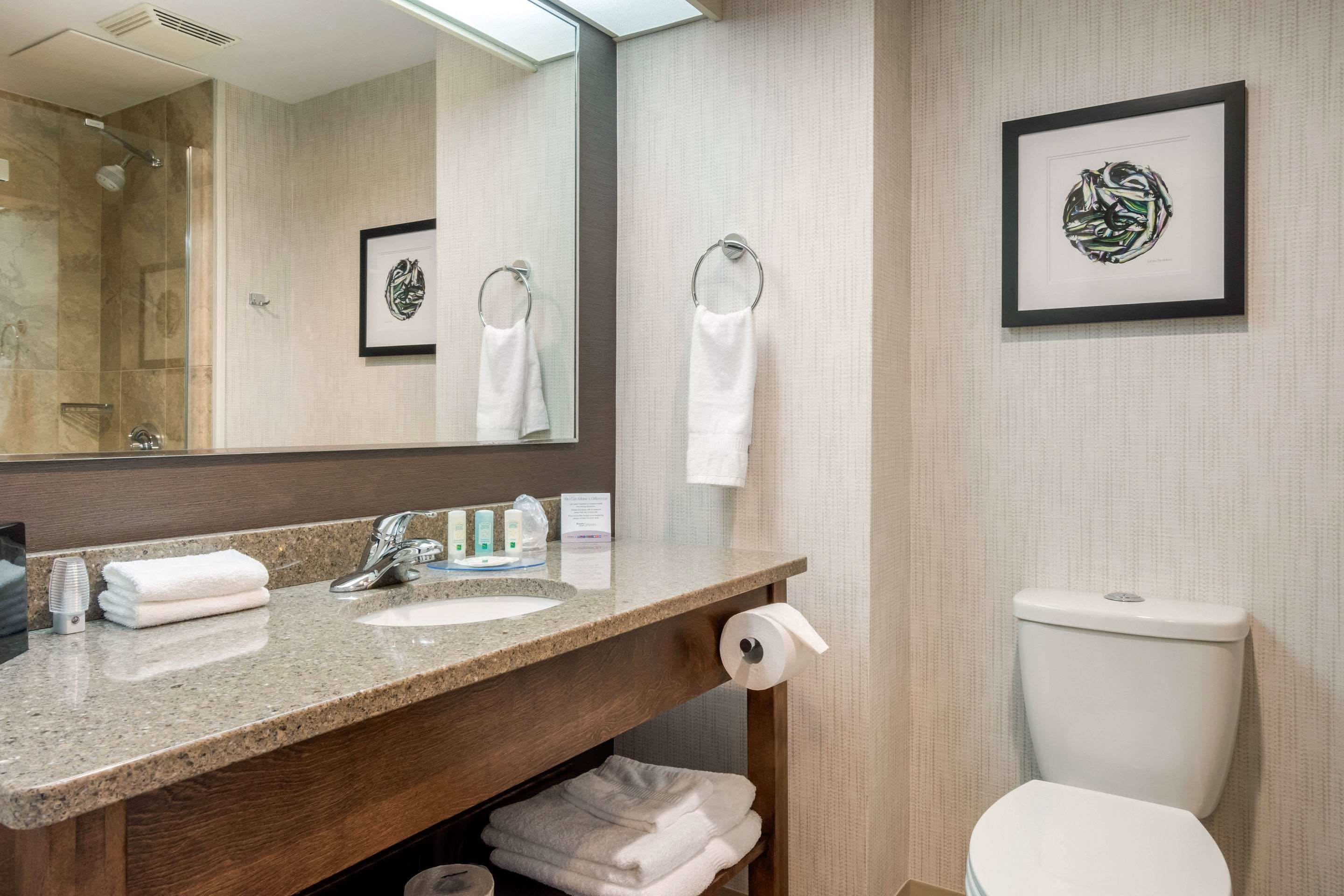 standard room, 1 king bed, non smoking | bathroom | combined shower/bathtub, rainfall showerhead, free toiletries