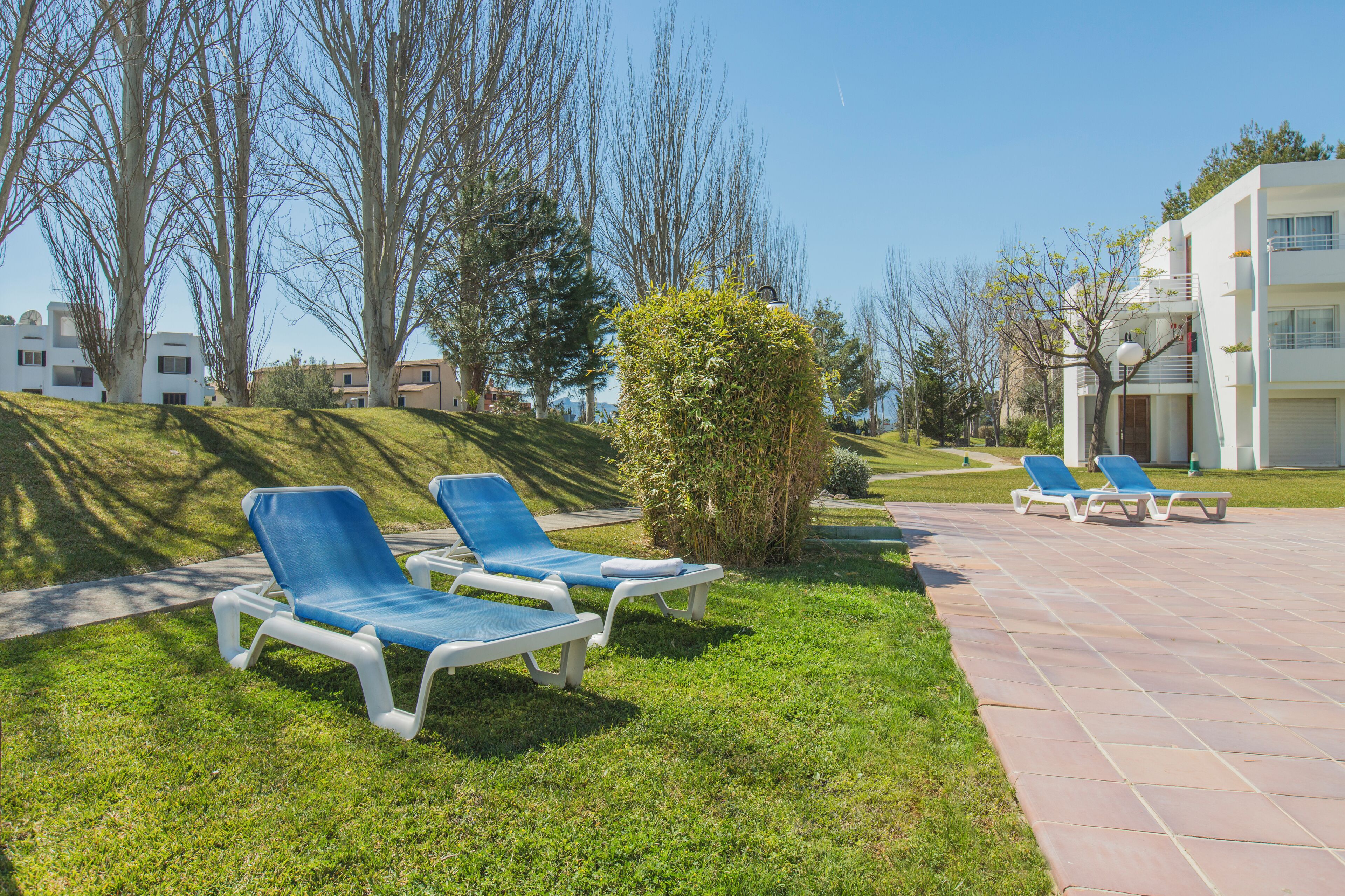 Un espacio al aire libre soleado con sillas de descanso azules y un camino pavimentado.