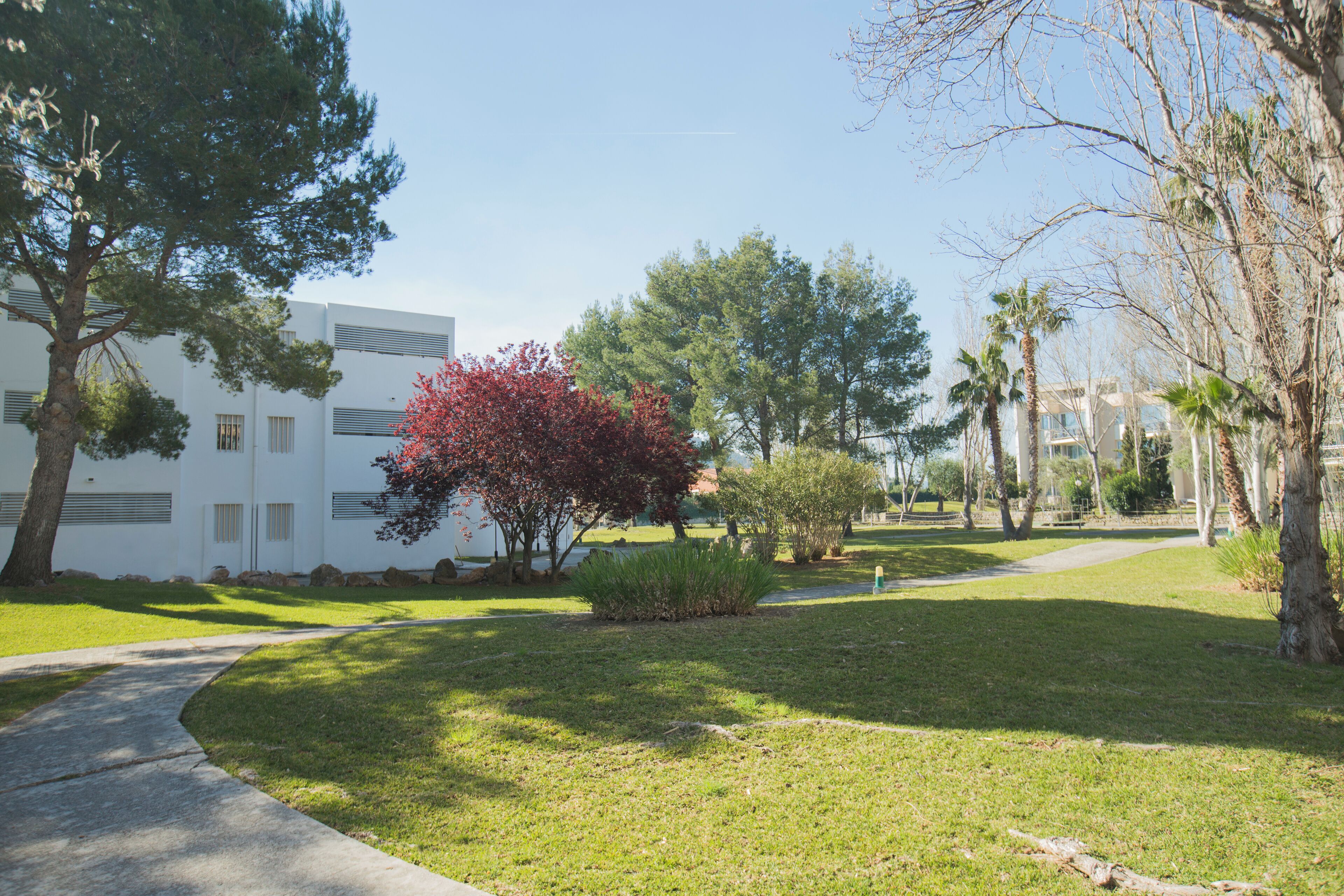 A well-maintained grassy area with a pathway leading to a building with a modern architectural style.
