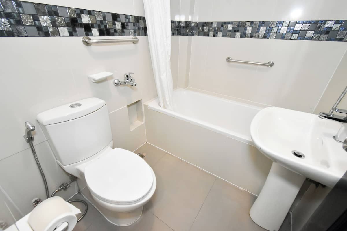 combined shower/bathtub, free toiletries, hair dryer, bidet