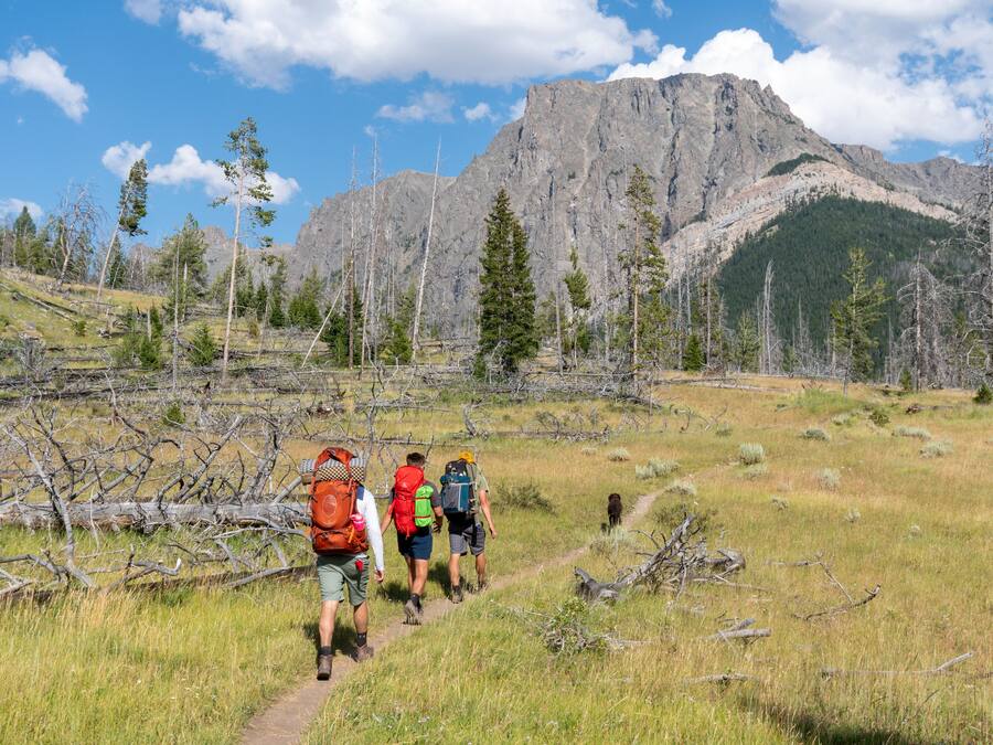 A group of hikers on a trail with a mountainous backdrop.