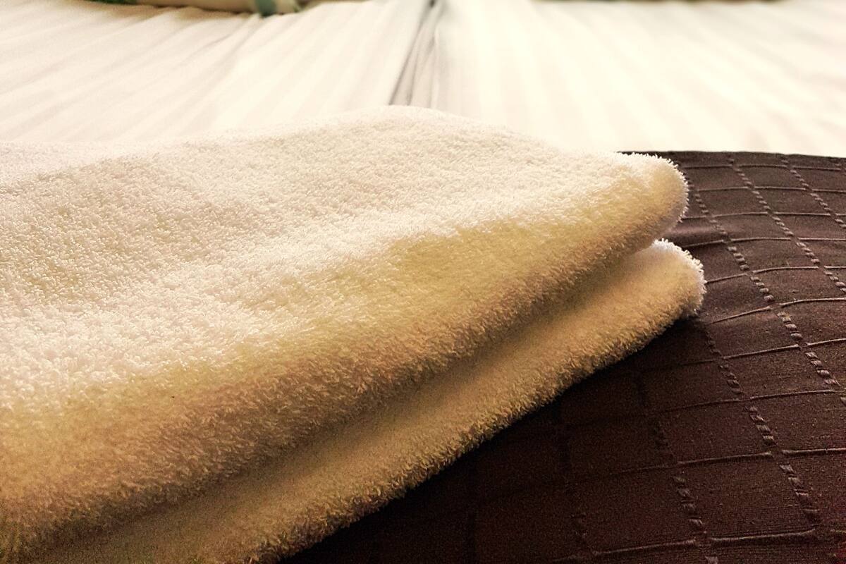 Une chambre d’hôtel avec deux lits, chacun recouvert d’une courtepointe blanche et agrémenté d’oreillers à motifs verts.