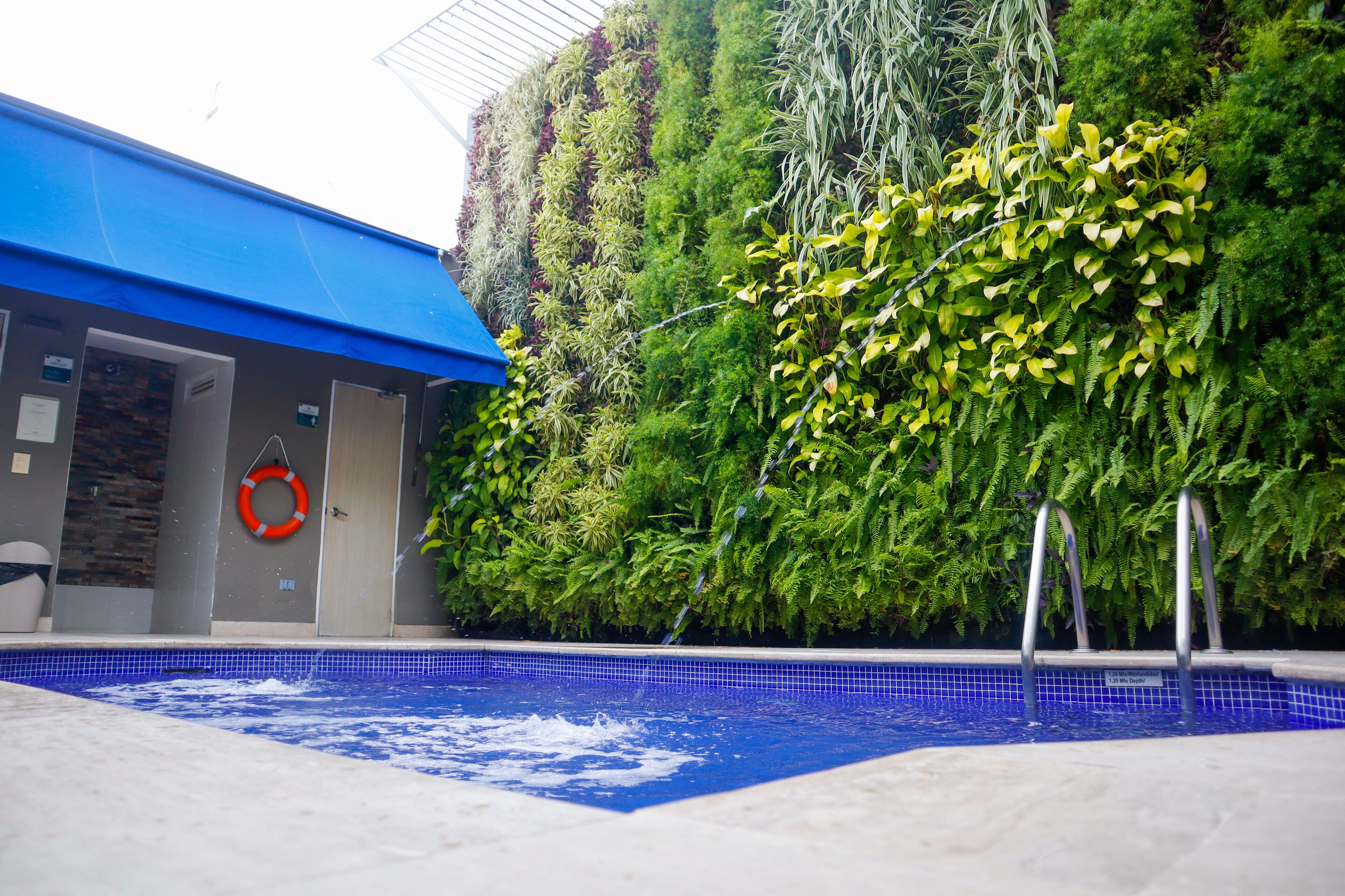 A swimming pool with a blue tiled edge, a lifebuoy, and a wall of green plants.