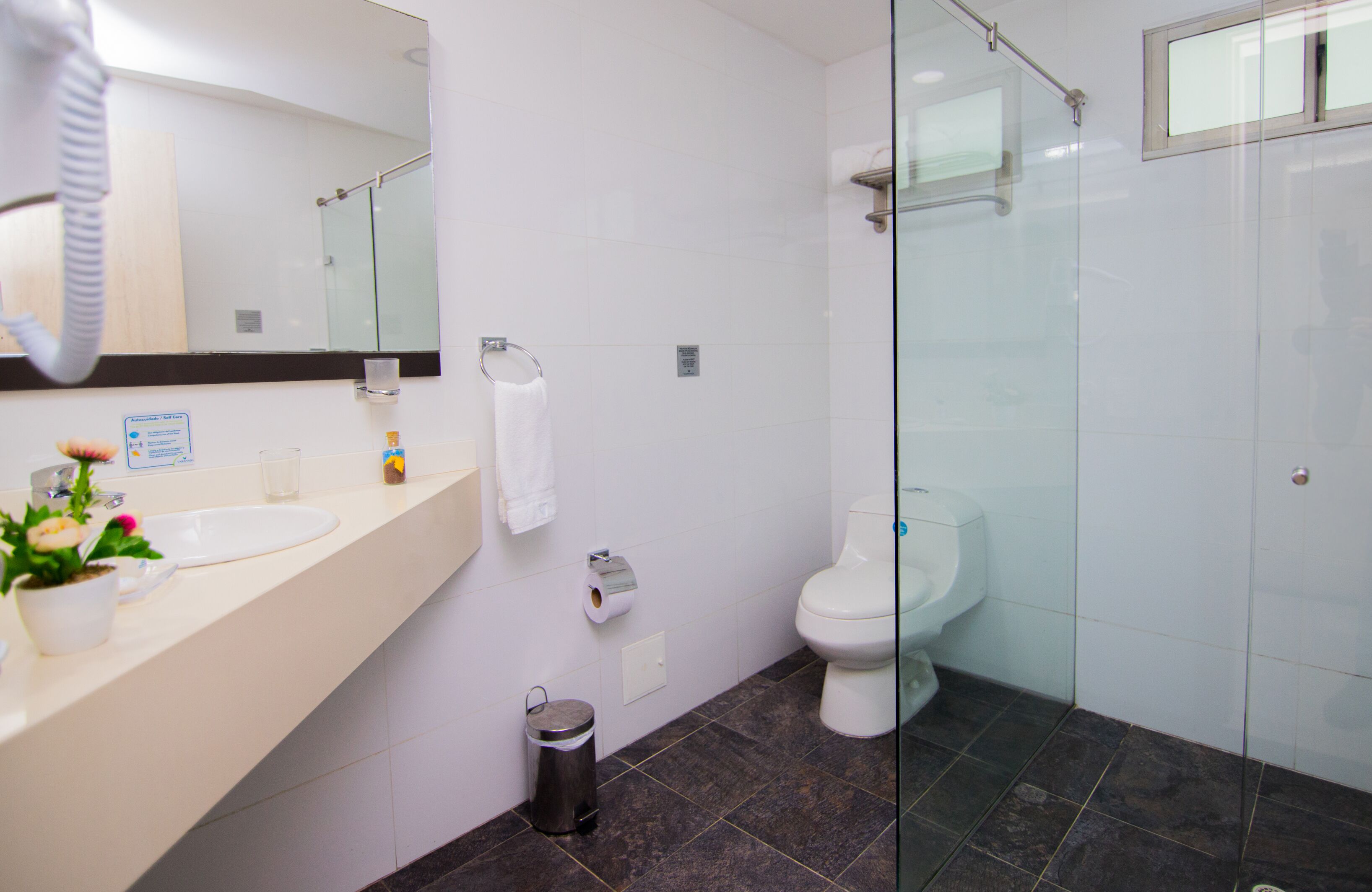 A modern bathroom with a glass shower enclosure, a white sink, and a toilet.