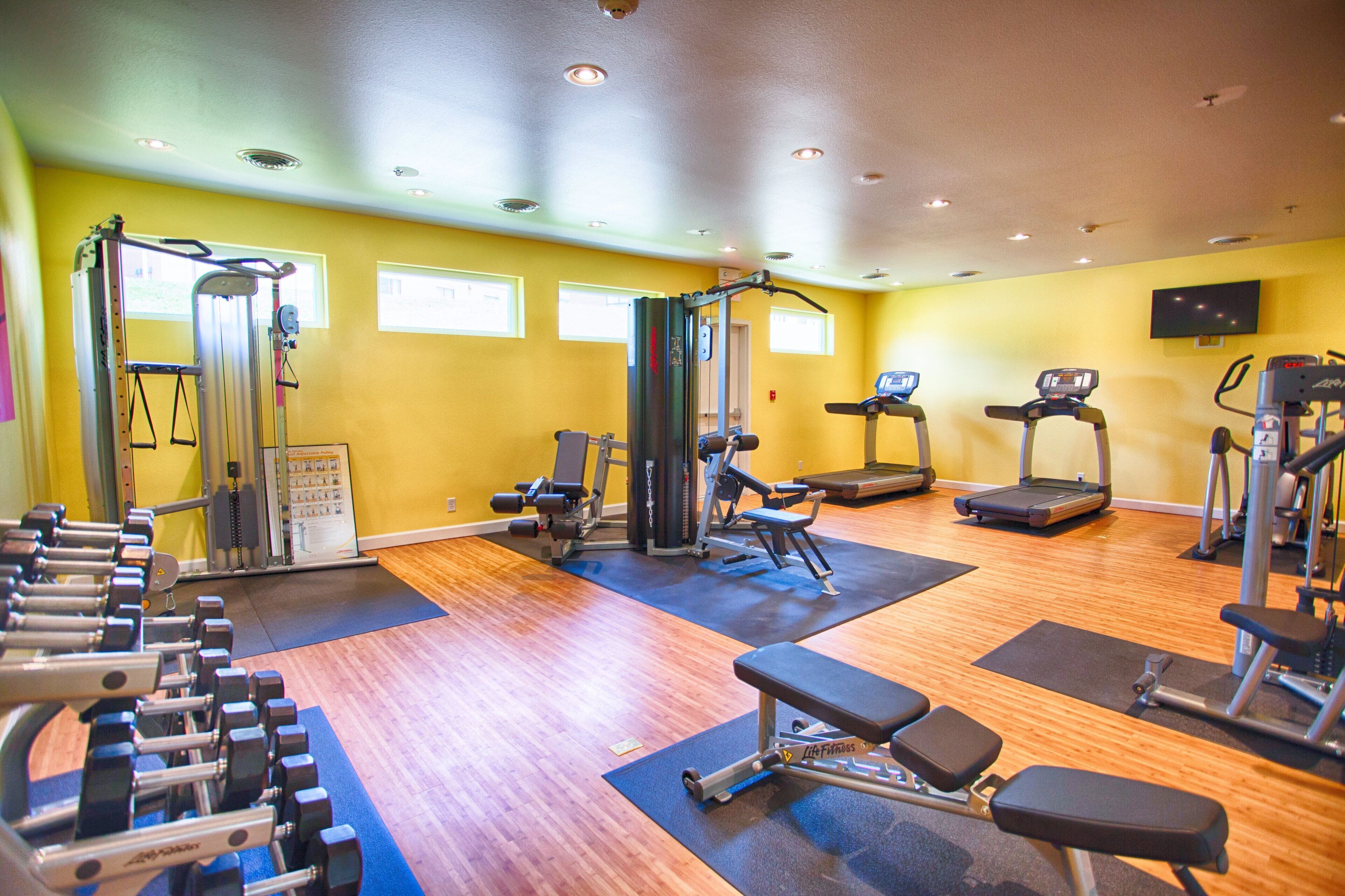 Uma academia com diversos equipamentos de exercício, incluindo esteiras, um banco e aparelhos de musculação.